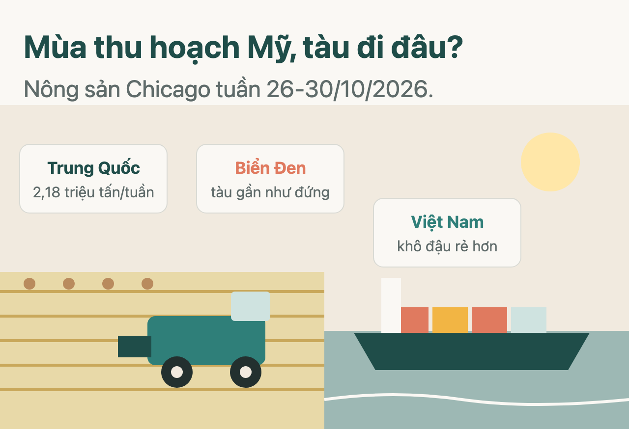 Giá đậu tương thế giới 26-30/10: Trung Quốc mua, giá đứng
