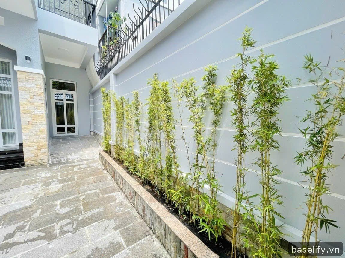 Cho thuê Biệt thự mặt tiền Quận 7 - 160m2 - 50 Triệu — ảnh 2