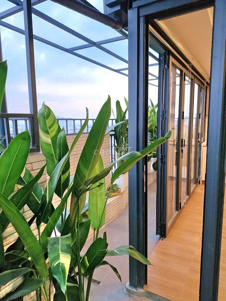 Bán Căn hộ Penthouse Sky Garden 2 Phường Tân Phong Quận 7 265m² 17.5 tỷ — ảnh 4