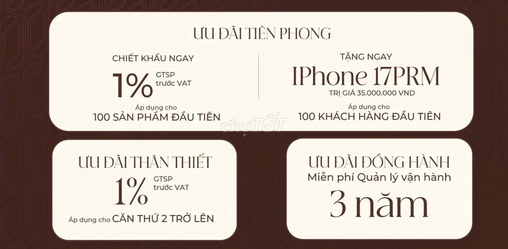 Ảnh 6