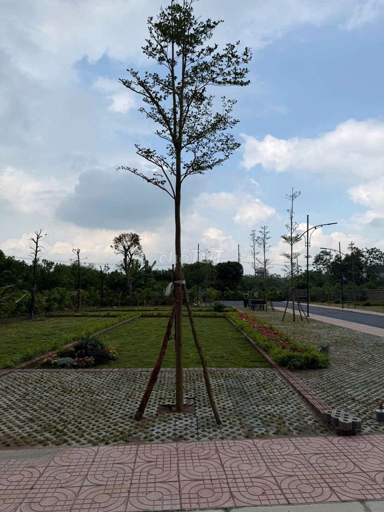 Đất 100m² Cổng 8 ĐHQG Hà Nội, Dân Đông, Xây Trọ Ngay — ảnh 2