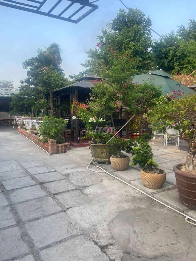 Bán Đất Quận 7, 1290m², 100 tỷ — ảnh 3