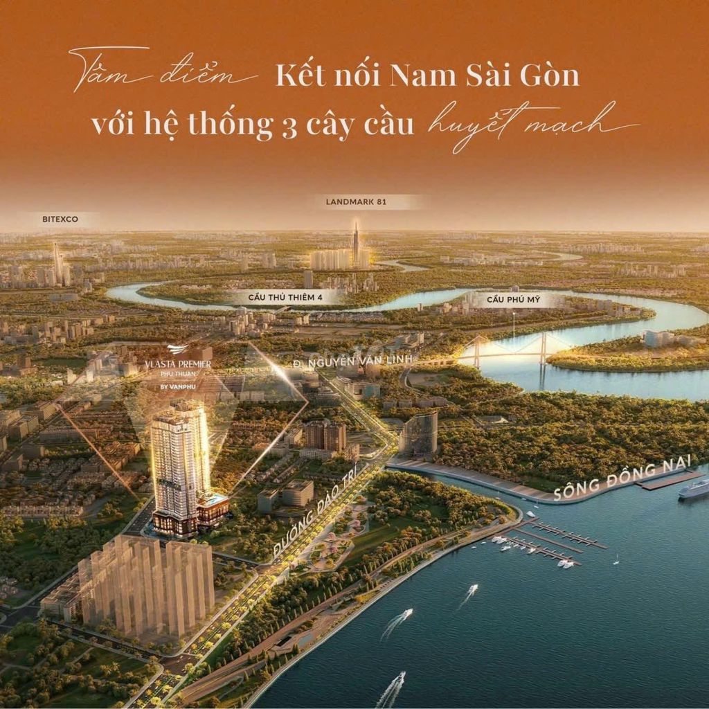 Ảnh 7
