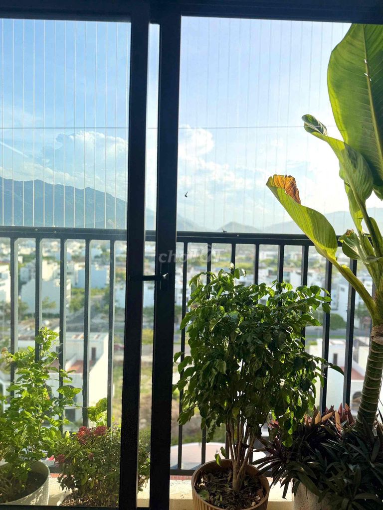bán căn 2pn Xh2 Phước Long full nội thất đẹp view Sungroup — ảnh 4