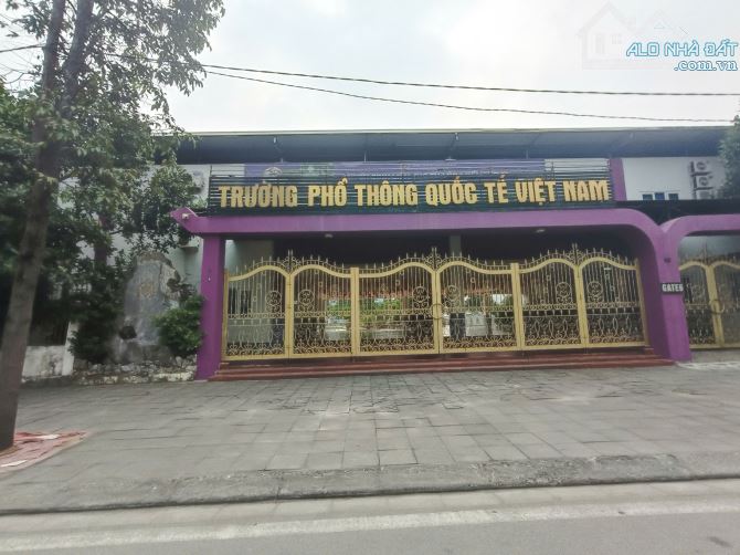 Ảnh 8