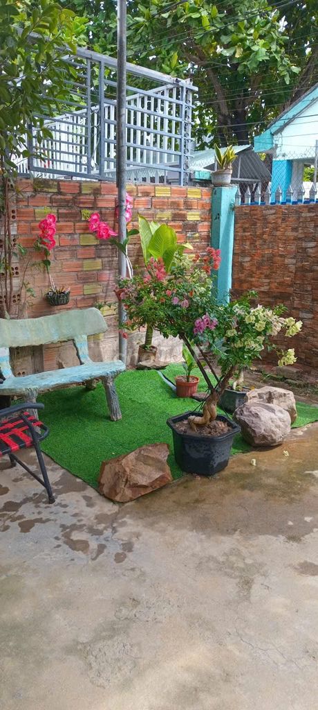 Chính chủ gã nhanh nhà vườn 200m full thổ và nội thất, 2 mặt tiền ql1a — ảnh 5