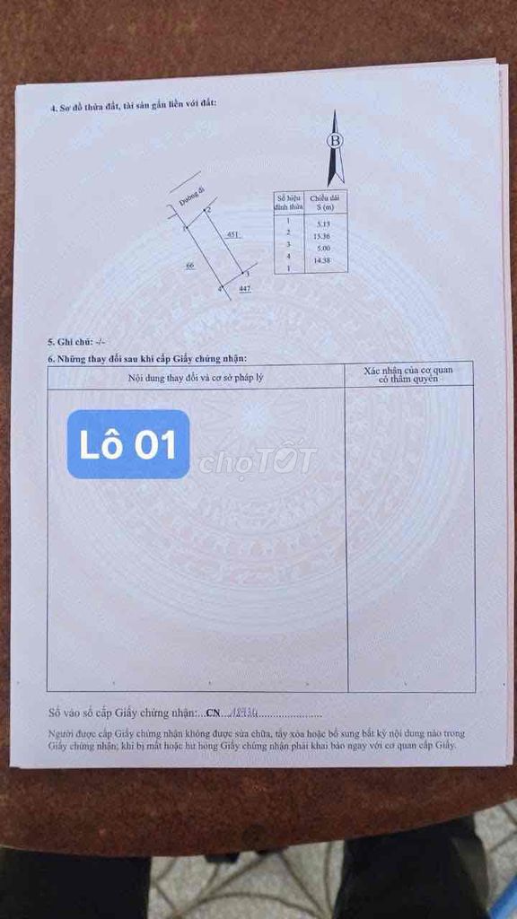 Ảnh 6