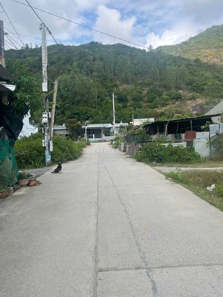 bán nhanh 2 lô đất Hòn Thơm . Nay thuộc phường Tây Nha Trang — ảnh 4