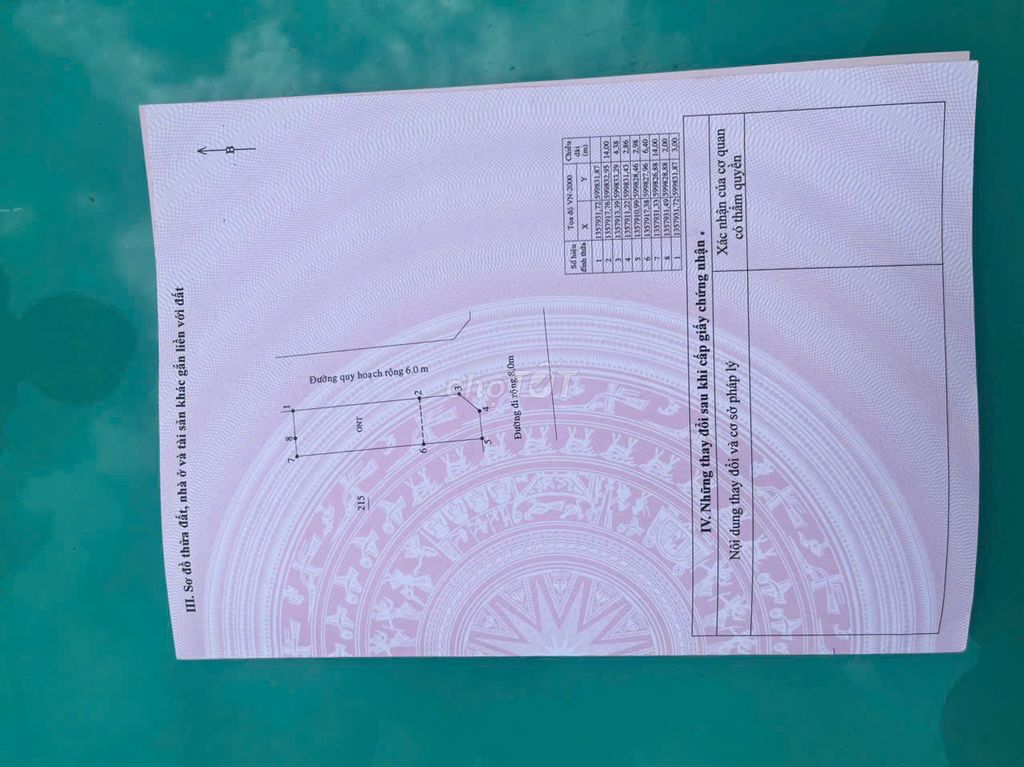 Ảnh 7