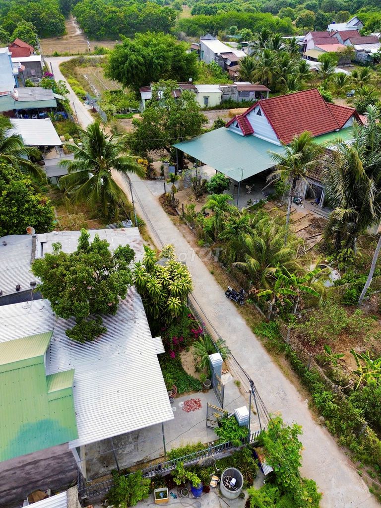 Bán đất Suối Tiên đường nhựa 5m khu dân cư đông giá chỉ 4.1tr/m2 — ảnh 5