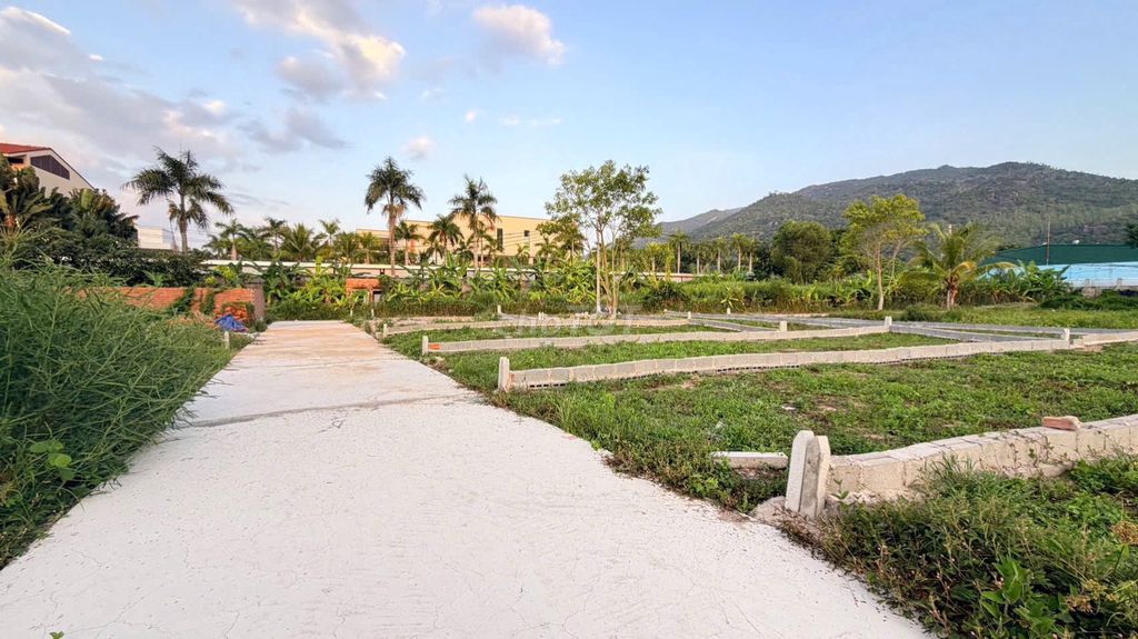 ĐẤT HẺM 1 BÌNH HÒA – FULL THỔ CƯ, GIÁ CHỈ 1,8 TỶ — ảnh 4