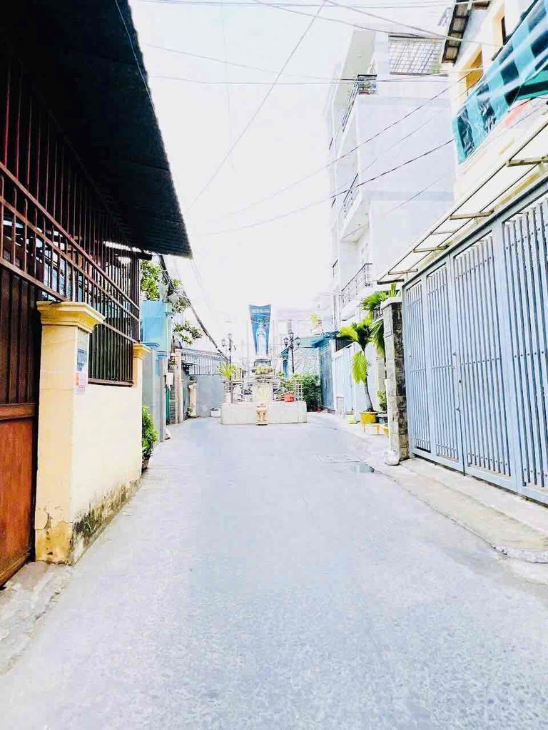 Ảnh 6