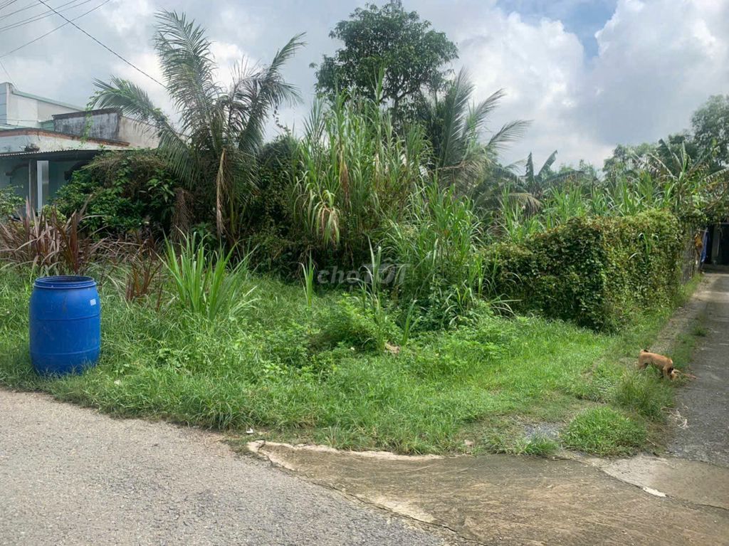 277m2 giá 900 triệu, Ngay Bách Hóa Xanh, Phước Hiệp Củ Chi, Sổ riêng