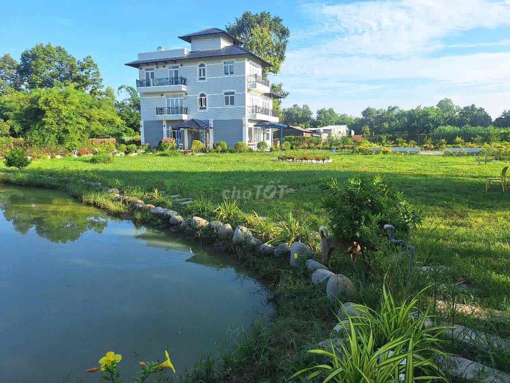 Chính chủ cần bán siêu biệt thự nghĩ dưỡng 2553m2 xã Thái Mỹ-Củ Chi — ảnh 3
