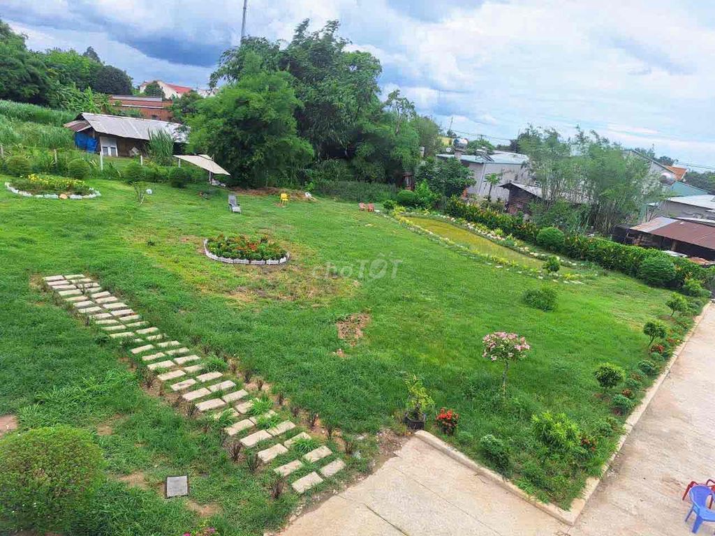 Chính chủ cần bán siêu biệt thự nghĩ dưỡng 2553m2 xã Thái Mỹ-Củ Chi — ảnh 4